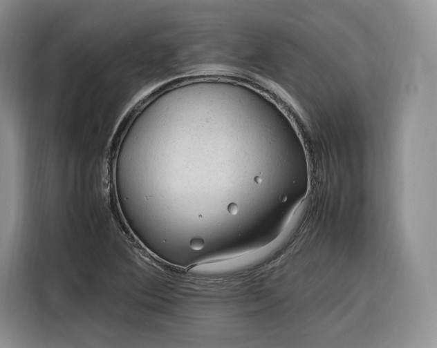 X0000116311364200912071300