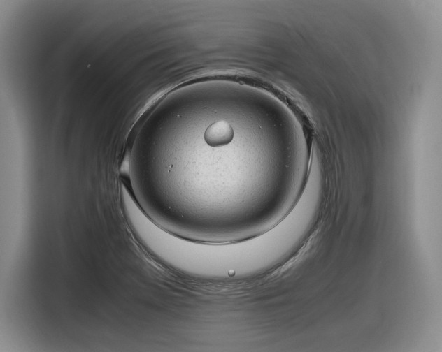 X0000116311369200912071300