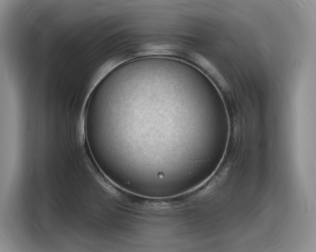 X0000116311370200912071300