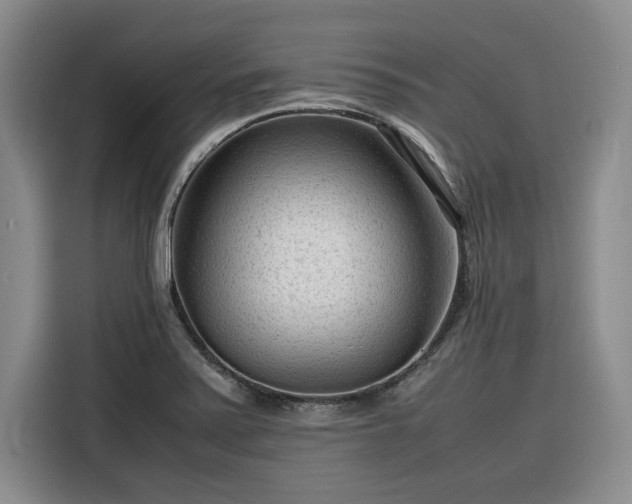 X0000116311371200912071300