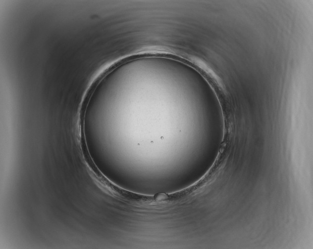 X0000116311372200912071300