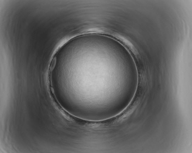 X0000116311373200912071300