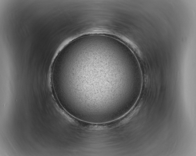 X0000116311374200912071300