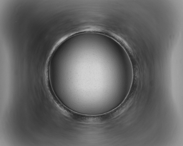 X0000116311375200912071300