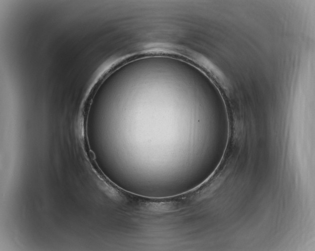 X0000116311376200912071300