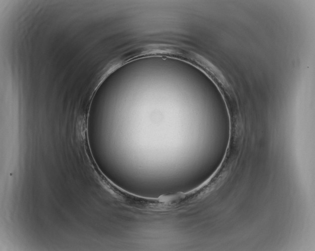 X0000116311377200912071300