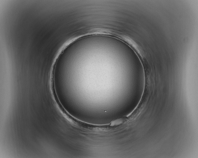 X0000116311379200912071300