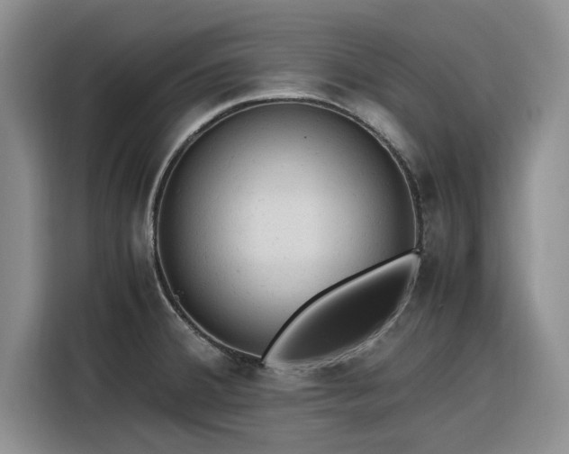 X0000116311380200912071300