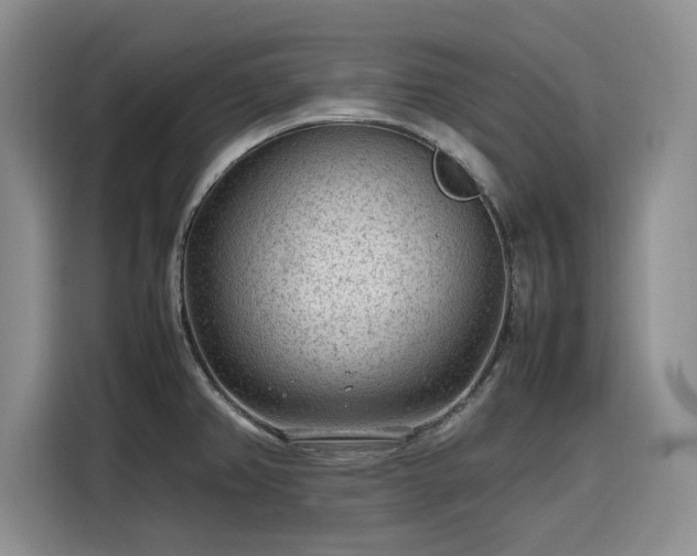 X0000116311382200912071300