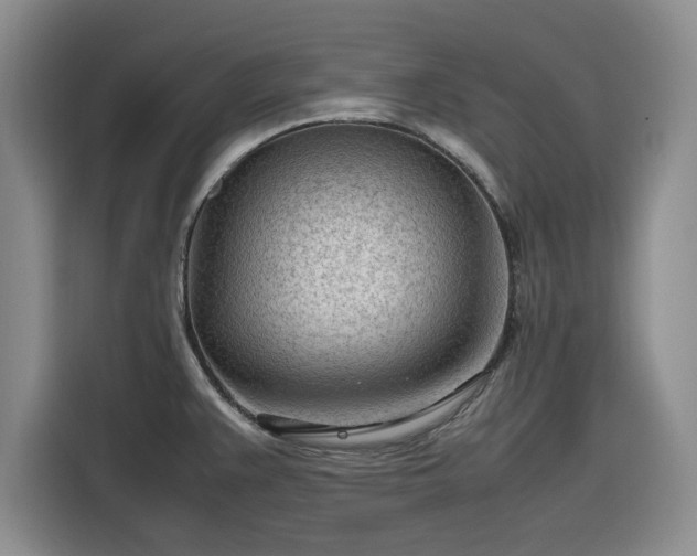 X0000116311383200912071300