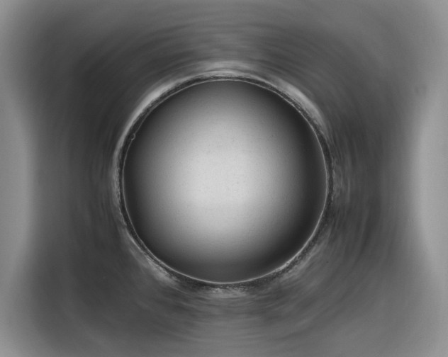 X0000116311384200912071300