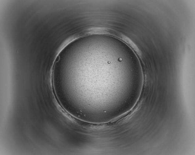 X0000116311386200912071300