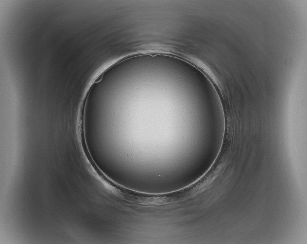 X0000116311387200912071300