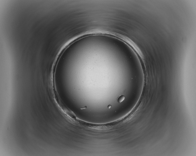 X0000116311388200912071300