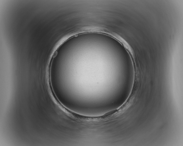 X0000116311389200912071300