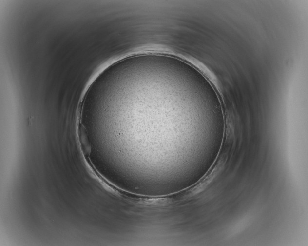 X0000116311390200912071300