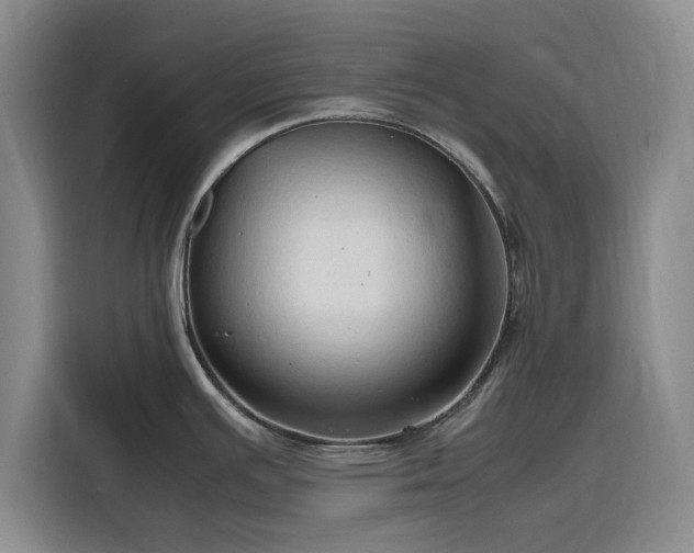 X0000116311391200912071300