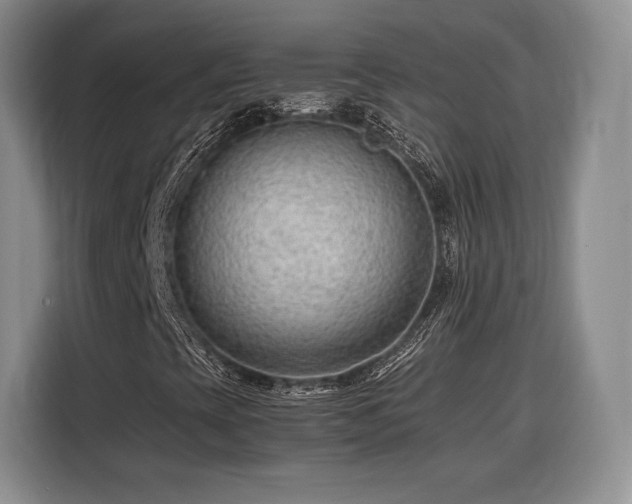 X0000116311393200912071259