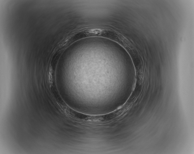 X0000116311394200912071259