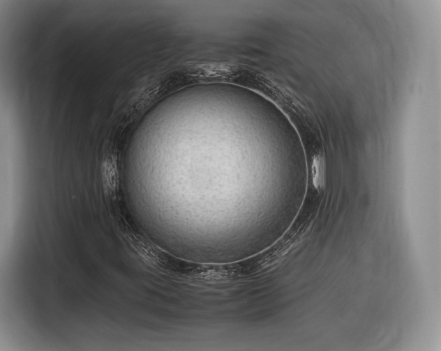 X0000116311395200912071259