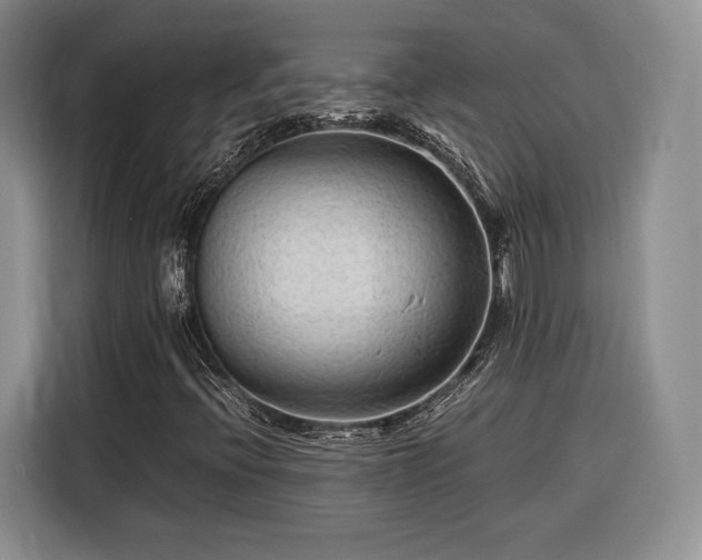 X0000116311396200912071259