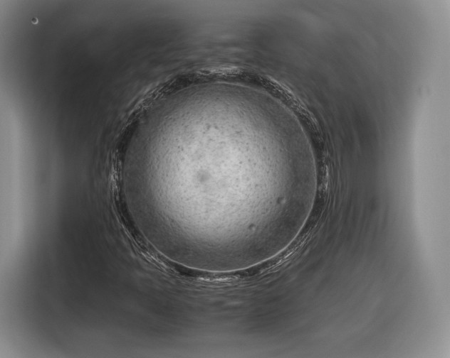 X0000116311397200912071259