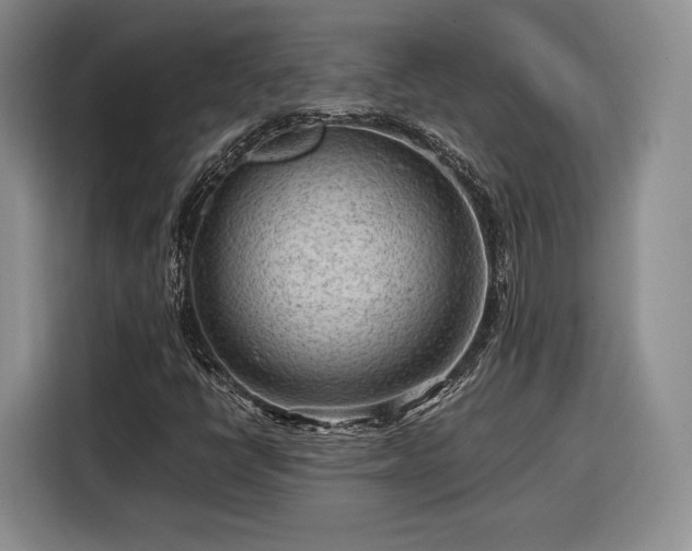 X0000116311398200912071259