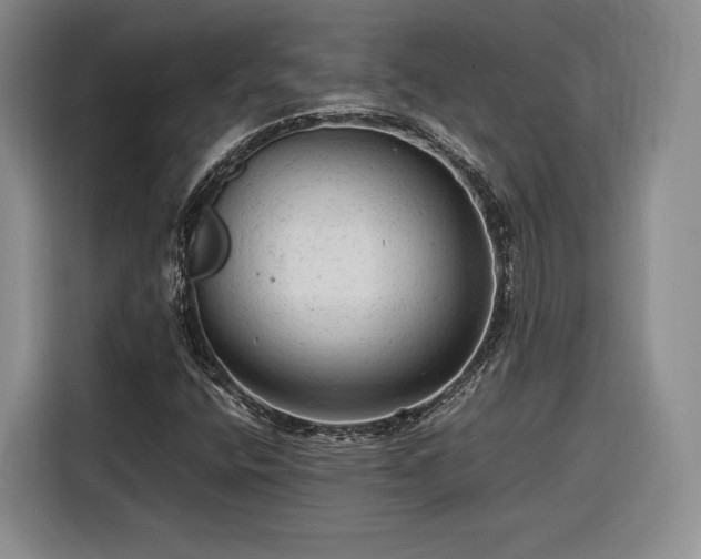 X0000116311400200912071259