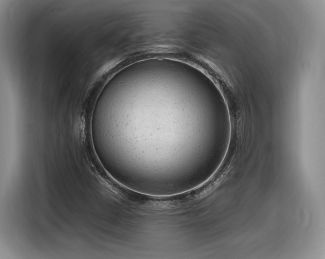 X0000116311402200912071259