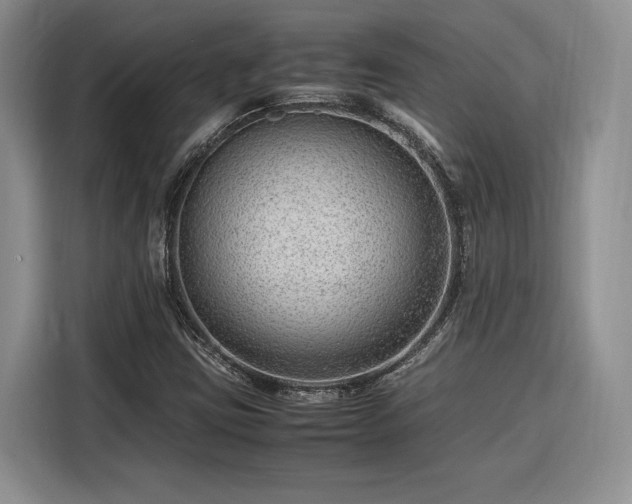 X0000116311403200912071259