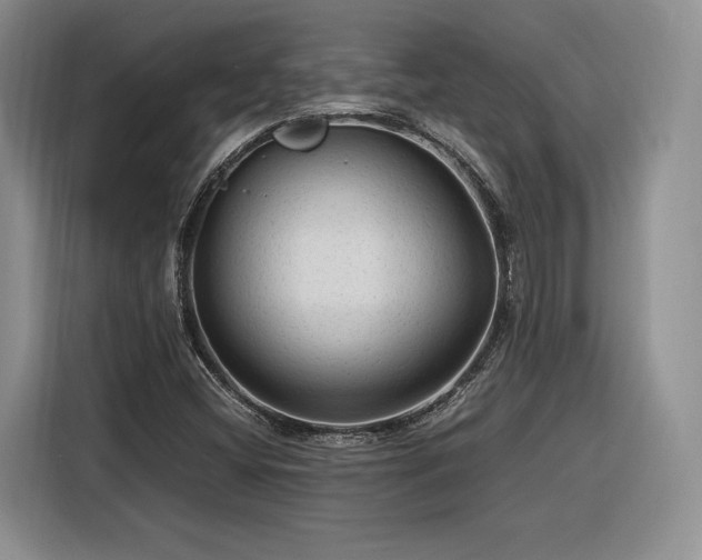 X0000116311404200912071259