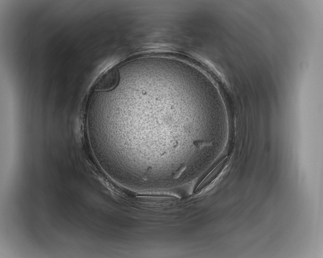 X0000116311405200912071259