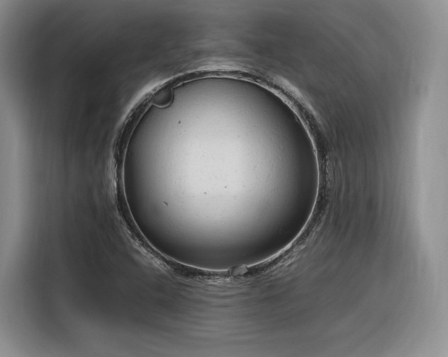 X0000116311408200912071259