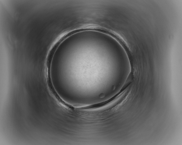 X0000116311414200912071259