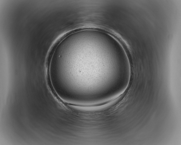 X0000116311416200912071259