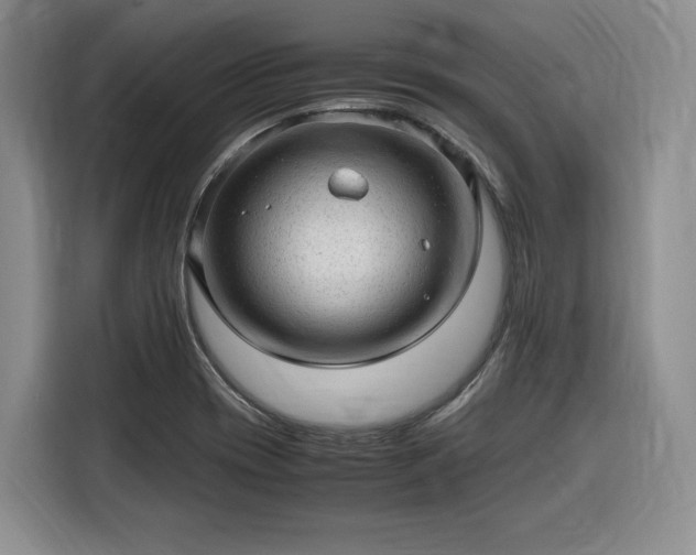 X0000116311417200912071259