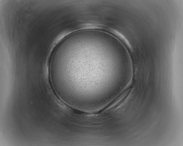 X0000116311419200912071259