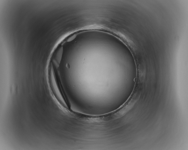 X0000116311422200912071259