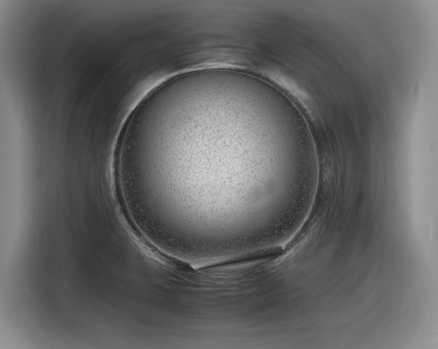 X0000116311423200912071259