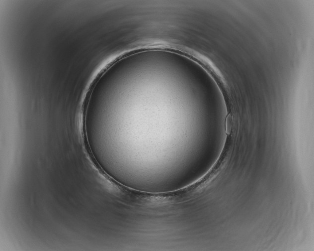 X0000116311424200912071259