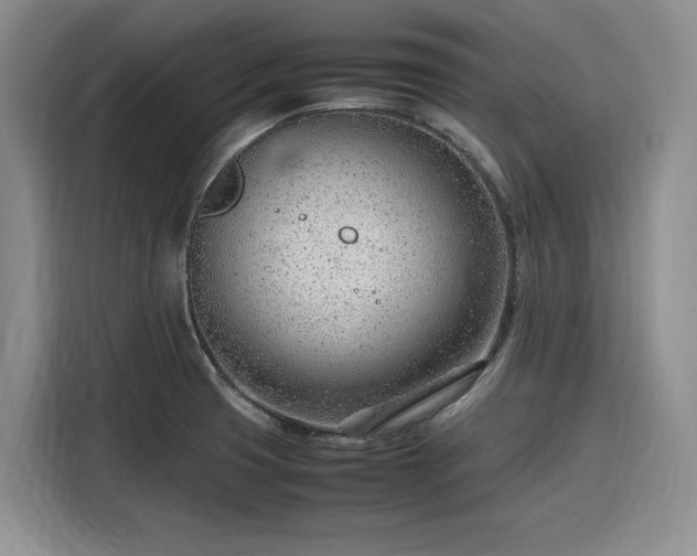 X0000116311425200912071259