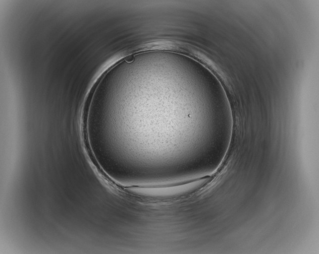 X0000116311426200912071259