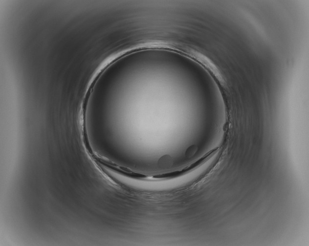 X0000116311428200912071259