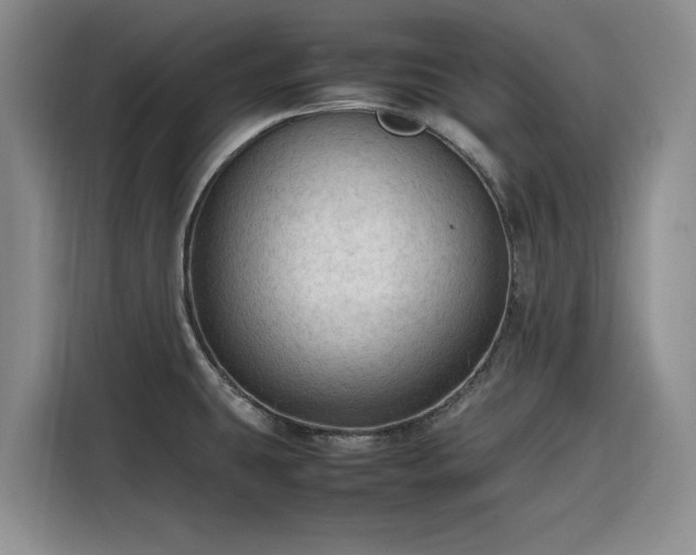 X0000116311431200912071259