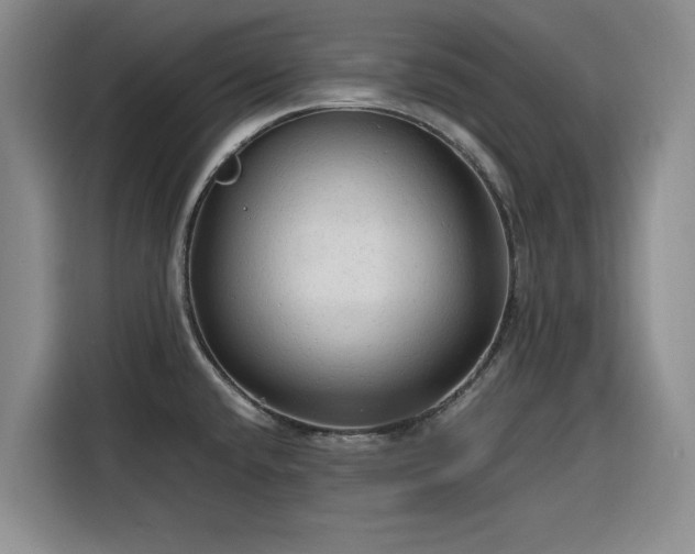 X0000116311432200912071259