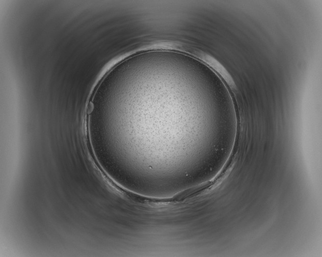 X0000116311436200912071259