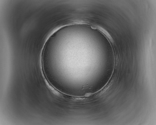 X0000116311439200912071300