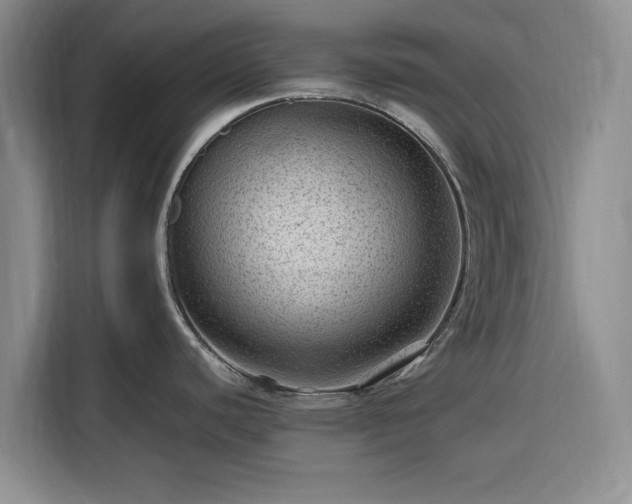 X0000116311440200912071300