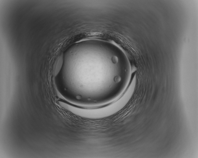 X0000116311441200912071259