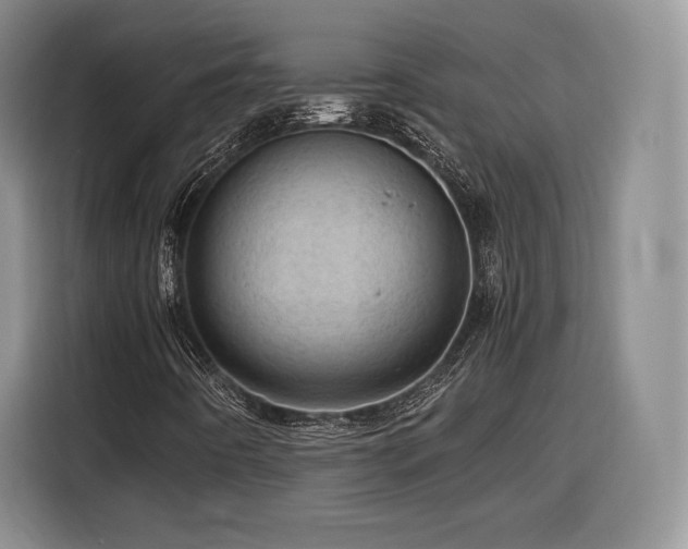 X0000116311442200912071259